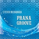 Prana Groove by Stevin McNamara